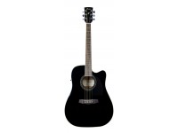 Ibanez PF15ECE-BK Ibanez PF15ECE-BK
